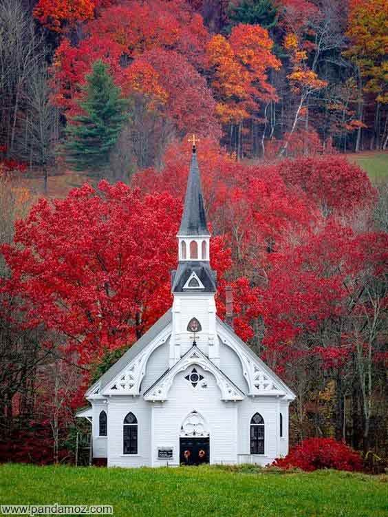 عکس تابلو نقاشی از یک کلیسای کوچک و سفید و زیبا در دل یک جنگل زیبا با درختانی پر از برگهای رنگارنگ. در تصویر بر بالای برج و ناقوس کلیسا علامت صلیب قرار دارد